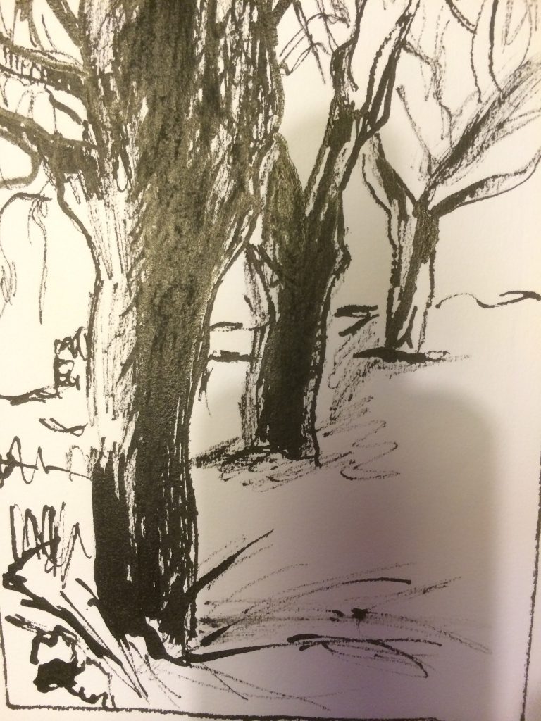 árboles tinta china
